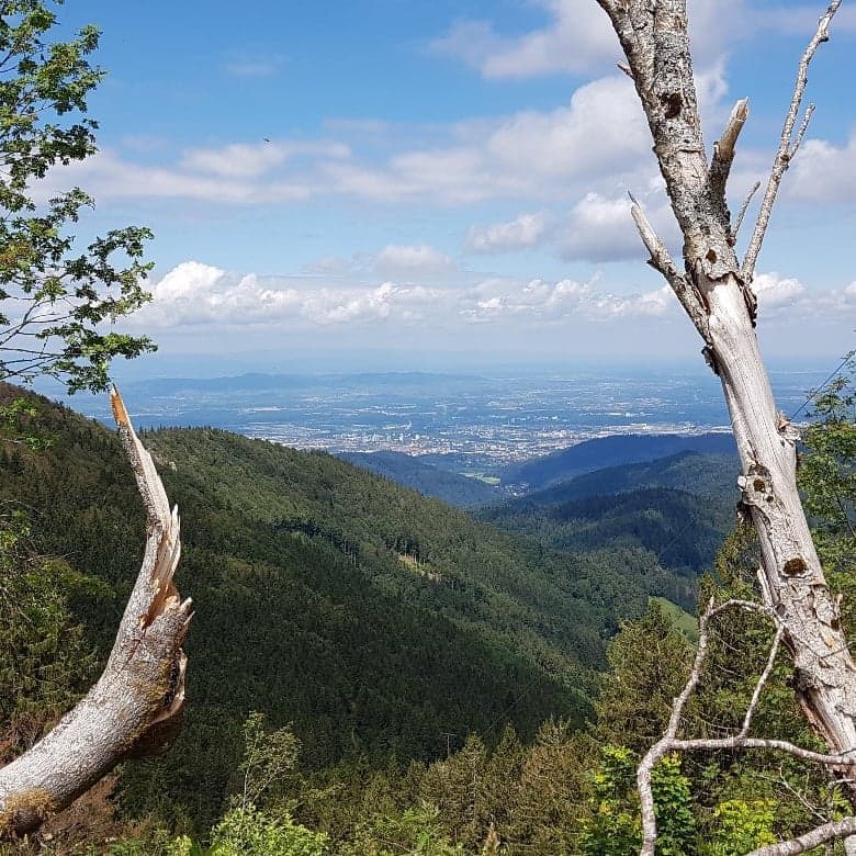 Betriebsausflug – Berggeheimnis Teaser